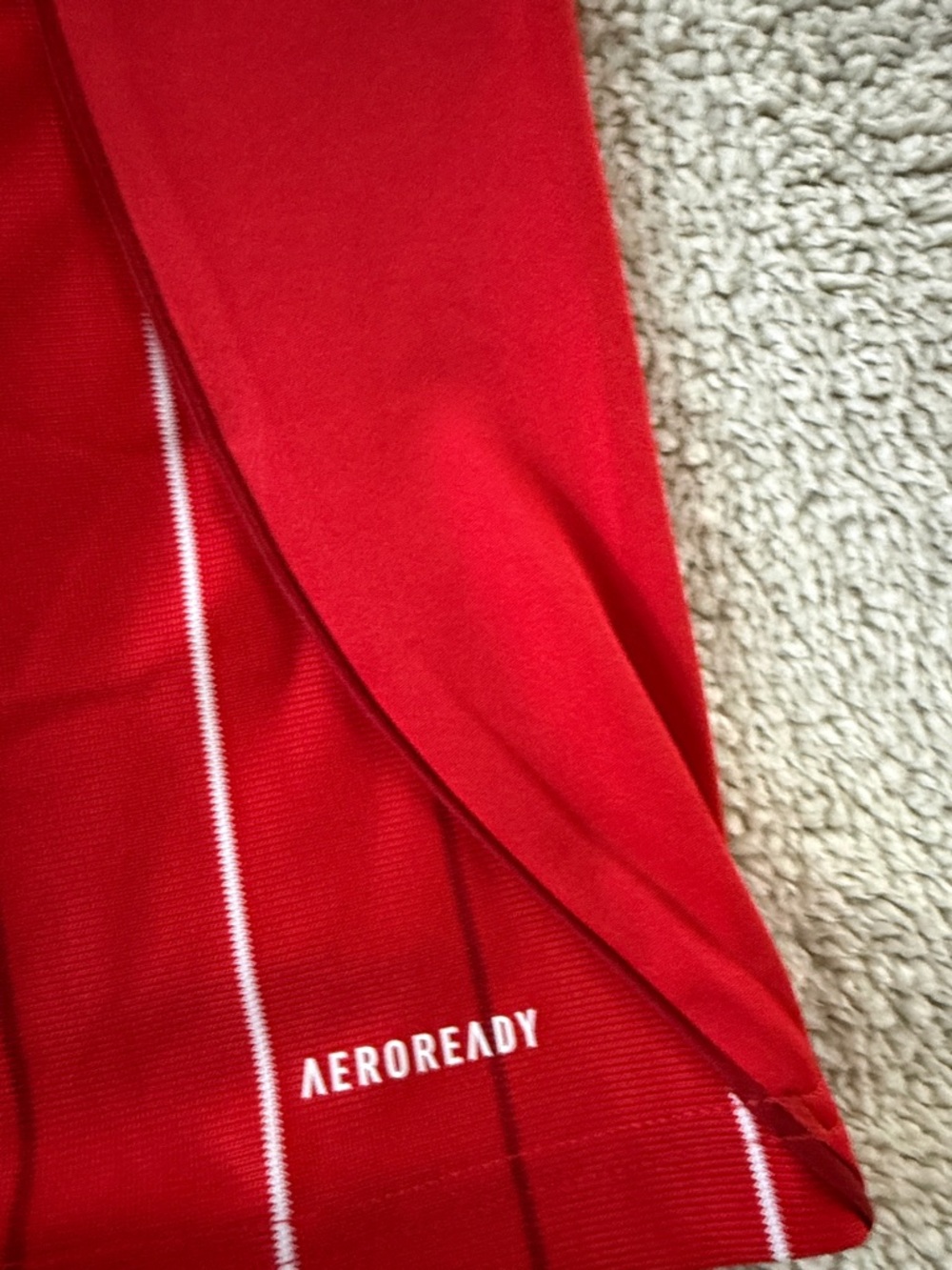 Nottingham Forest #8 Eliot Anderson 2025-26 Adidas Home Premier League Jersey - Picture 10 of 12